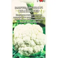 Семена Капуста цветная Скайвокер F1 /Сотка/ 5шт/ позднесп. 1,9-3,5кг Bejo/*1500