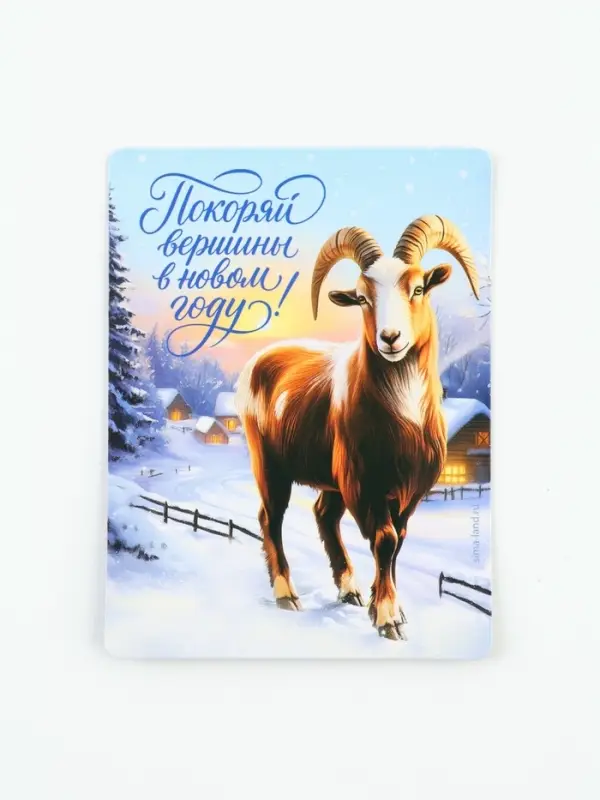 Магнит новогодний, полимерный &laquo;Покоряй вершины&raquo;, 6&times;8 см