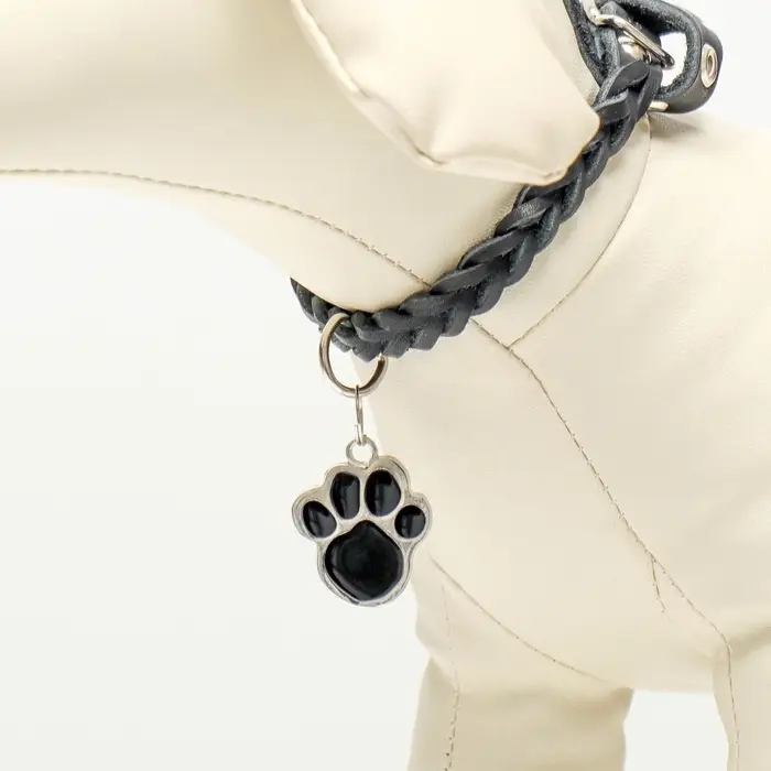 Адресник под гравировку &laquo;Лапа&raquo;, 2.5&times;2.5 см, фасовка по 6 шт., металл, цвет МИКС