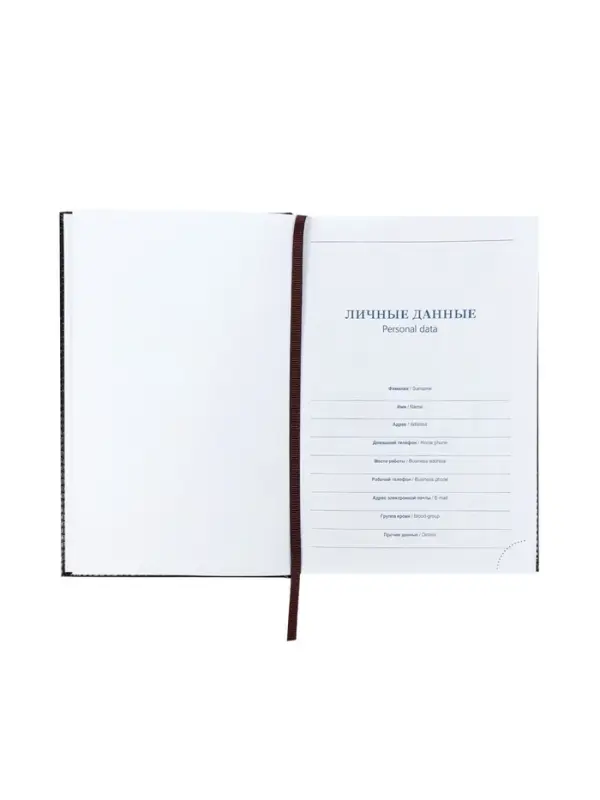 Ежедневник недатир А5 160л Небраска черный