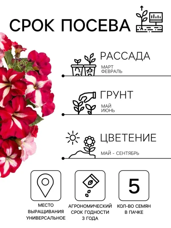 Семена цветов Петуния &laquo;Арлекин&raquo; F1, бургунди, крупноцветковая, драже, С. Farao, 5 шт.