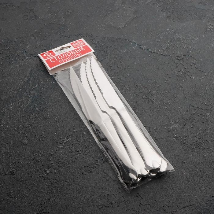 Ножи для мяса из нержавеющей стали Доляна «Капля», длина 22,5 см, 6 шт, цвет серебряный