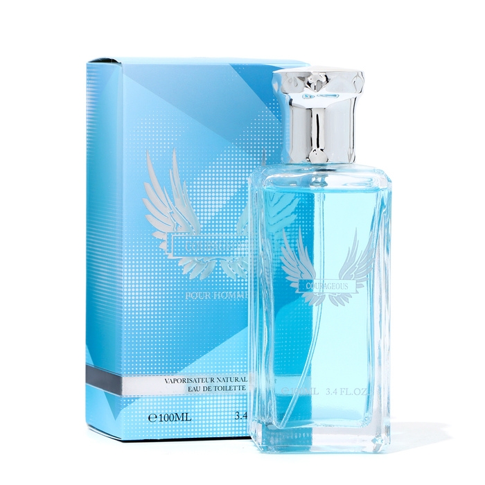 Туалетная вода мужская Courageous, 100 мл Туалетная вода мужская Courageous, 100 мл
