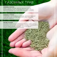 Газонная травосмесь &laquo;Универсальная&raquo;, 1 кг