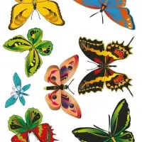Трафарет - раскраска Calligrata, набор, 6 штук, для девочек