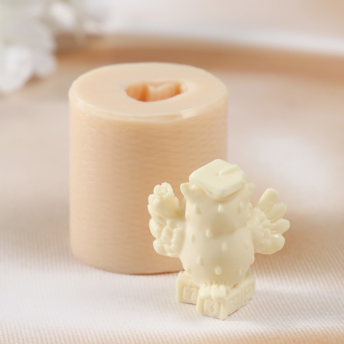 Молд силиконовый Молд силиконовый "Ученая сова №3" 4х4,2х4,2 см