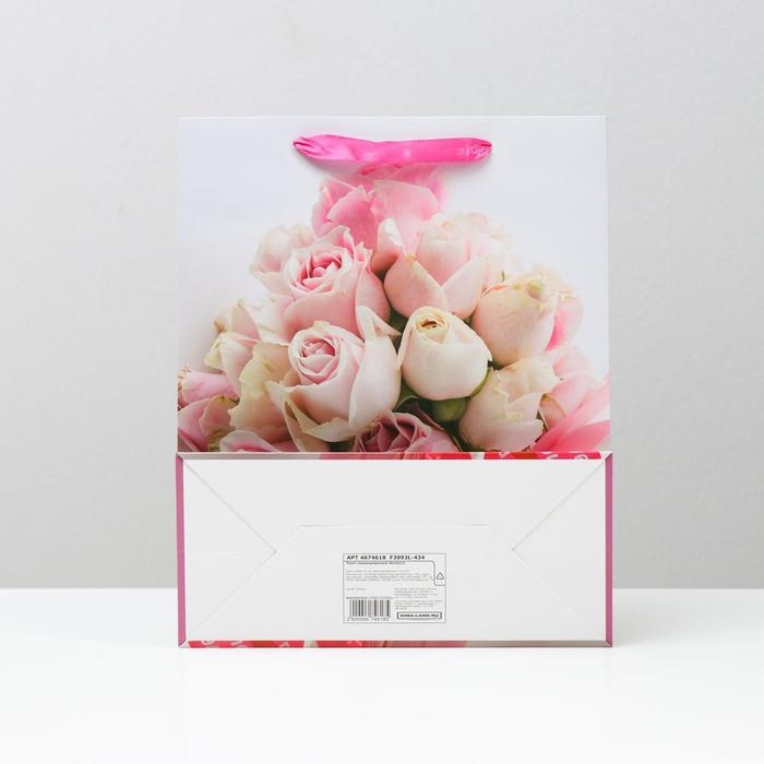 Пакет ламинированный, 26 x 32 x 12 см Пакет ламинированный, 26 x 32 x 12 см