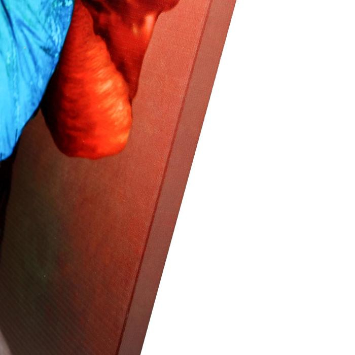 Картина на подрамнике Картина на подрамнике "Голубая бабочка" 70*110