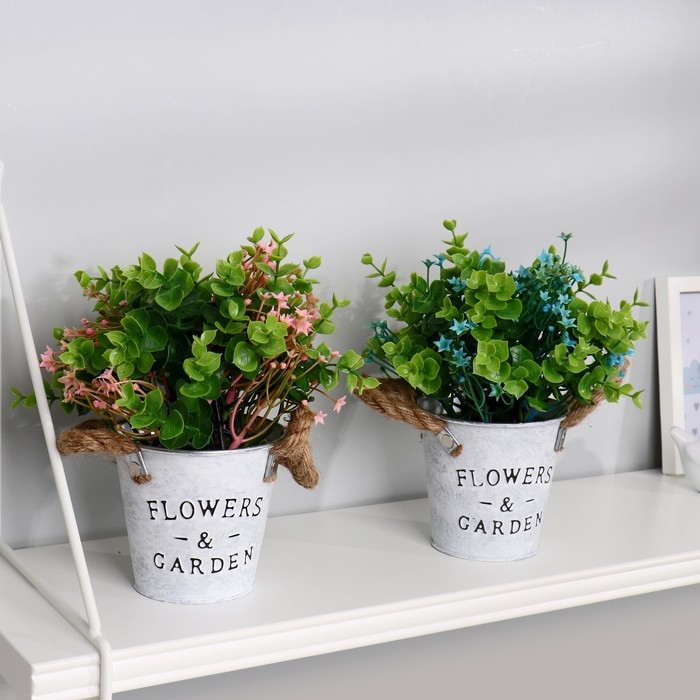 Бонсай в горшке Бонсай в горшке "Гипсофила ползучая" 11х22 см, микс