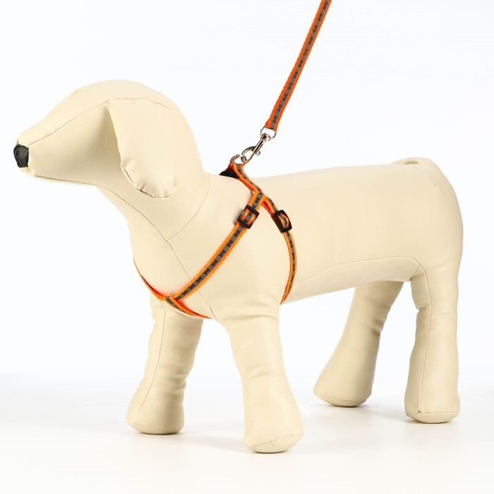 Комплект светоотражающий  Комплект светоотражающий "Косточки", ошейник 120 х 1 см, ОШ 24-40 см, ОГ 24-40 см оранжевый