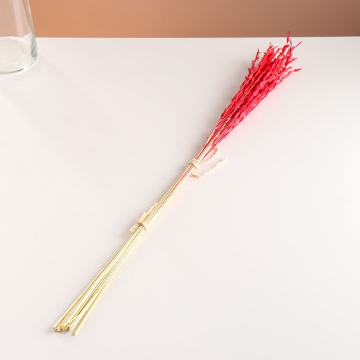 Набор сухоцветов Набор сухоцветов "Райграс", банч 21 шт, длина 60 (+/- 6 см), красный