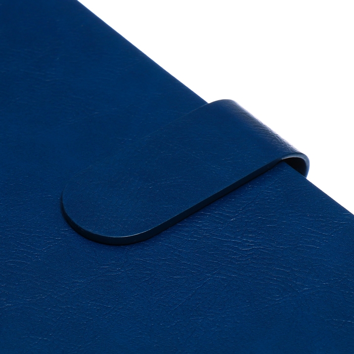 Органайзер на гребне, А5, 80л, клетка, обл.кожзам, с хлястиком, синий Органайзер на гребне, А5, 80л, клетка, обл.кожзам, с хлястиком, синий