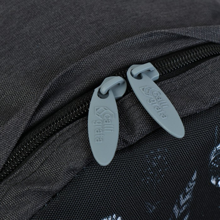 Рюкзак молодёжный, 38 х 28 х 19 см, эргономичная спинка, Calligrata Э Рюкзак молодёжный, 38 х 28 х 19 см, эргономичная спинка, Calligrata Э "Листья", чёрный