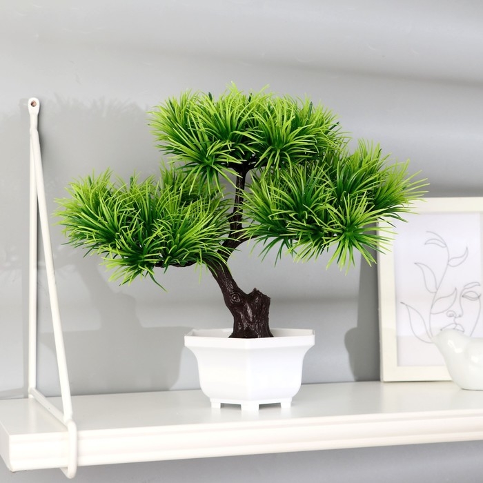 Бонсай в горшке «Агава прямая» 27х25 см Бонсай в горшке «Агава прямая» 27х25 см