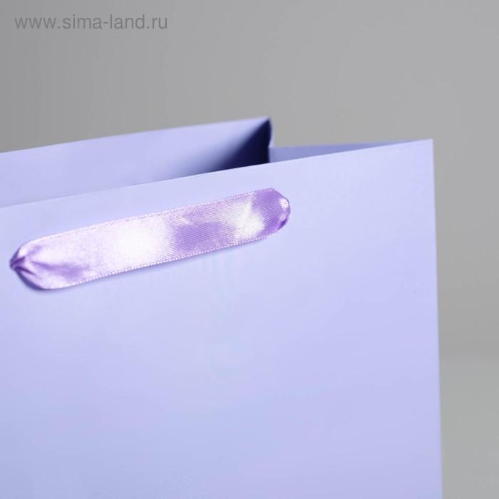 Пакет подарочный, упаковка, &laquo;Сиреневый&raquo;, 26 х 32 х 12 см