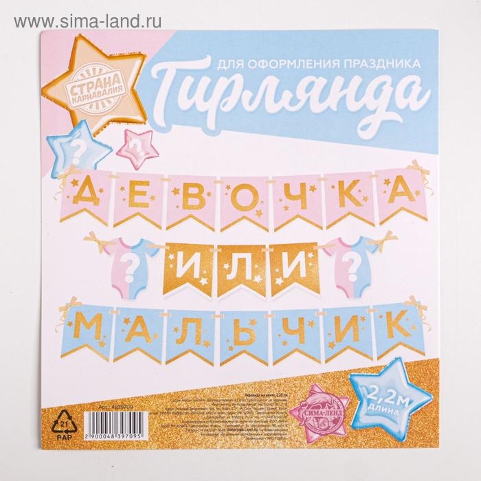 Гирлянда на ленте &laquo;Гендер пати&raquo;, мальчик или девочка, длина 220 см