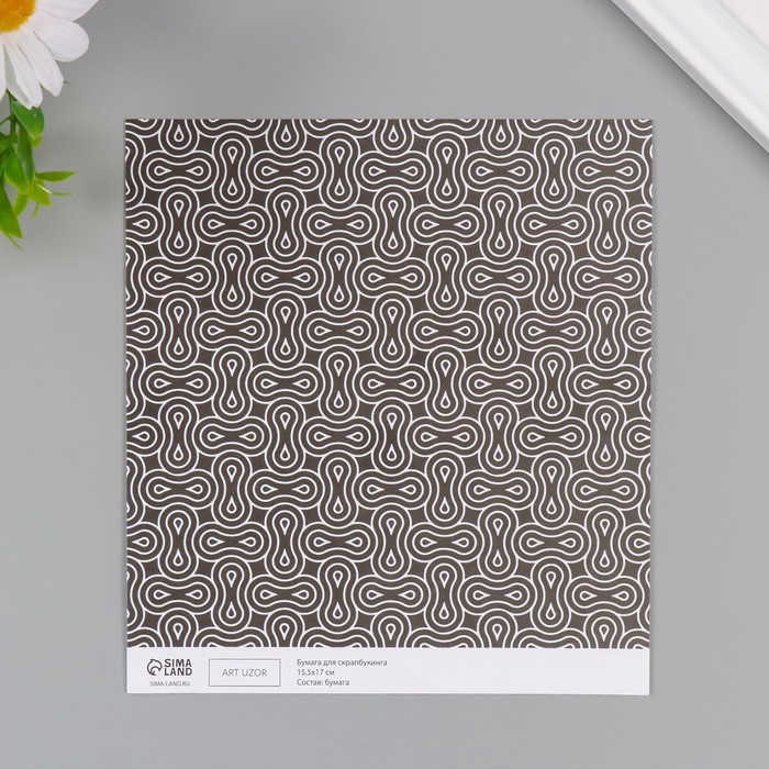 Бумага для скрапбукинга Бумага для скрапбукинга "Автотрек" плотность 180 гр набор 10 шт 15,5х17 см