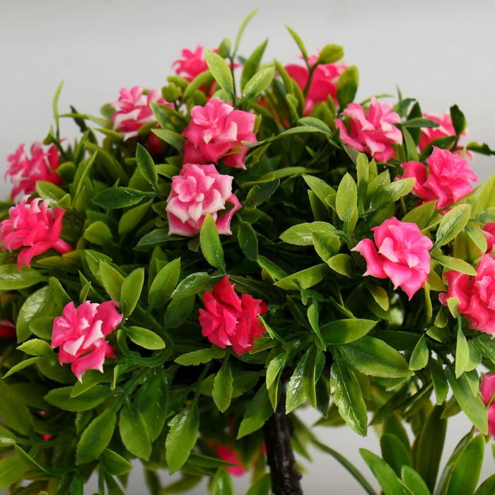 Бонсай в горшке "Деревце с мелкими цветами" 10х25 см, микс