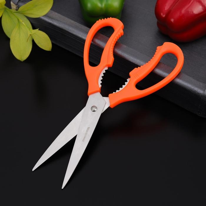 Ножницы кухонные Доляна «Саймон», 23 см, цвет зелёный Ножницы кухонные Доляна «Саймон», 23 см, цвет зелёный