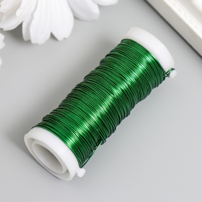 Проволока для творчества Проволока для творчества "Зелёный" 30 метров, толщина 0,3 мм 5,5х2,2х2,2 см