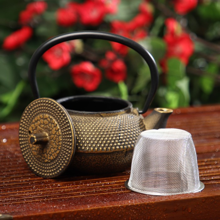 Чайник для плиты Доляна «Восточная ночь. Золото», 300 мл, с ситом, чугун, индукция, цвет золотой