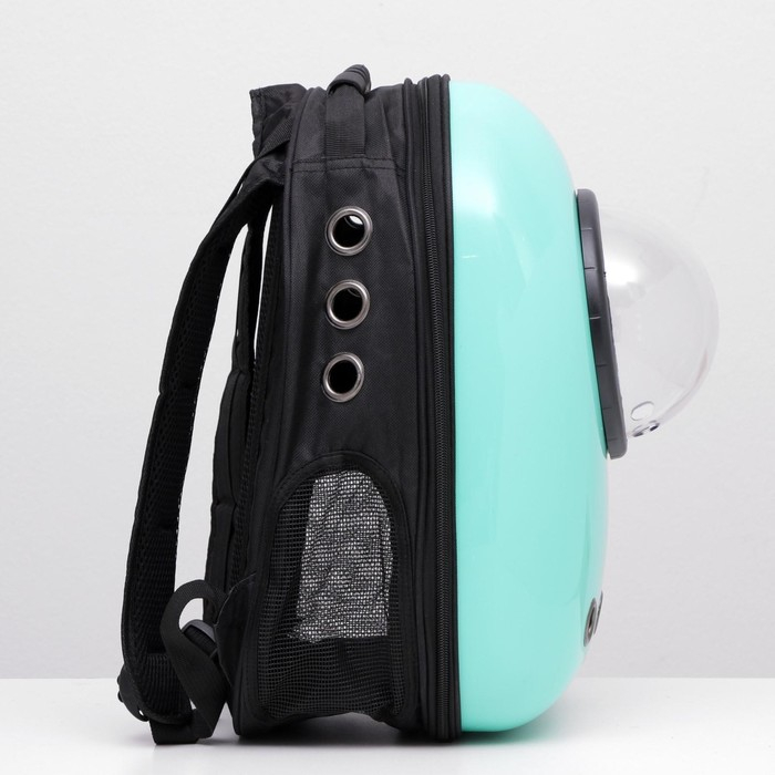 Рюкзак для переноски кошек и собак, с окном, 32 х 25 х 42 см, мятный Рюкзак для переноски кошек и собак, с окном, 32 х 25 х 42 см, мятный