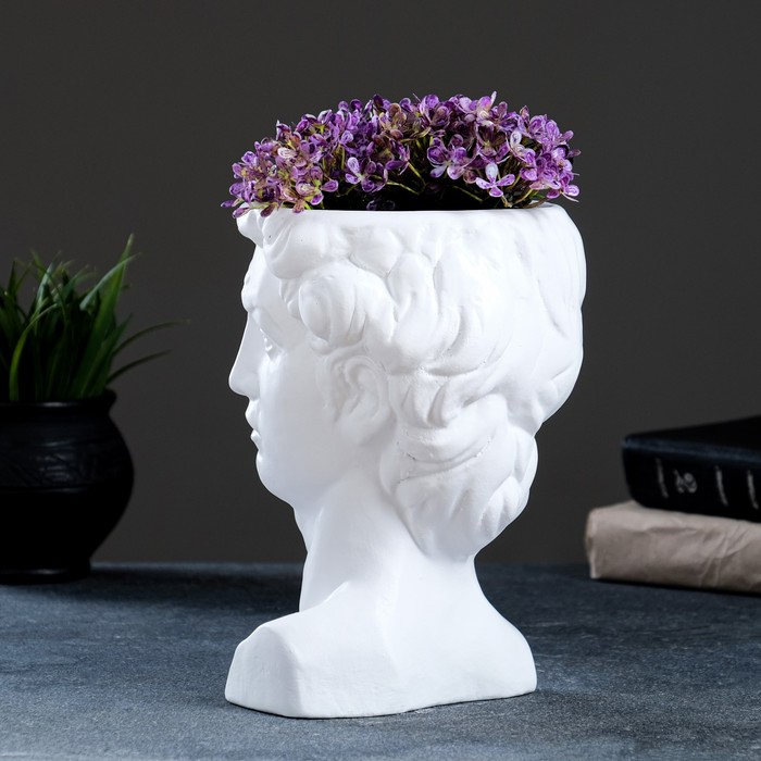 Кашпо - органайзер Кашпо - органайзер "Давид" белое, 1,25л/ 21х15х16см