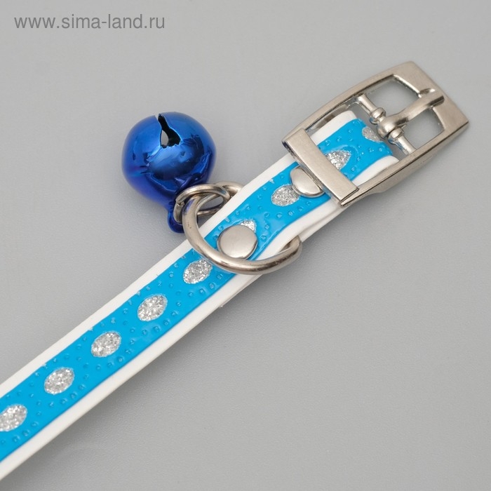 Ошейник из искусственной кожи с блестками, 32 х 1 см, микс цветов Ошейник из искусственной кожи с блестками, 32 х 1 см, микс цветов