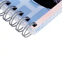 Набор тетрадей Calligrata &laquo;Аниме. Девочка с котом&raquo;, 3 штуки, 96 листов, на гребне, обложка из мелованного картона