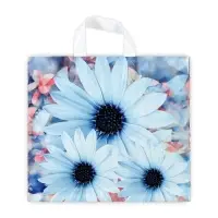 Пакет &laquo;Дарси&raquo;, полиэтиленовый с петлевой ручкой, 37&times;34 см, 70 мкм