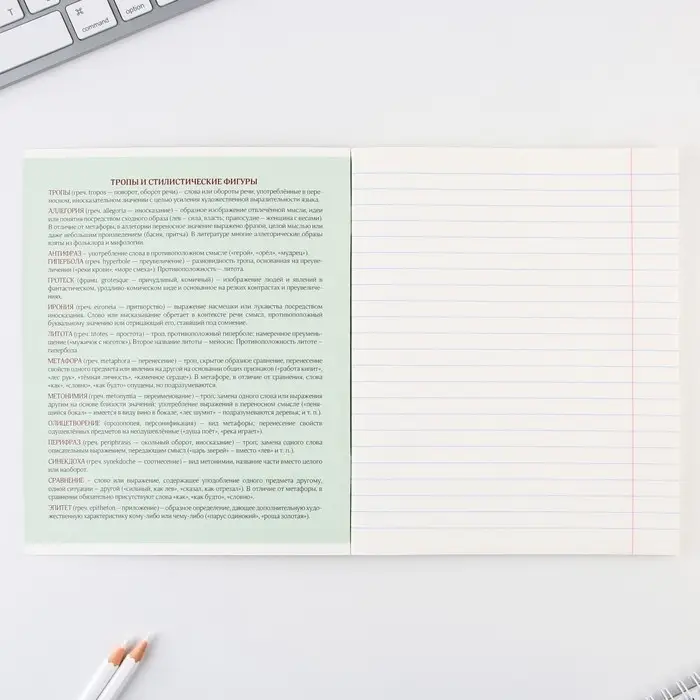 Тетрадь в линейку, предметная, 48 л.,на скрепке, А5 &laquo;ГРАДИЕНТ. Литература&raquo;