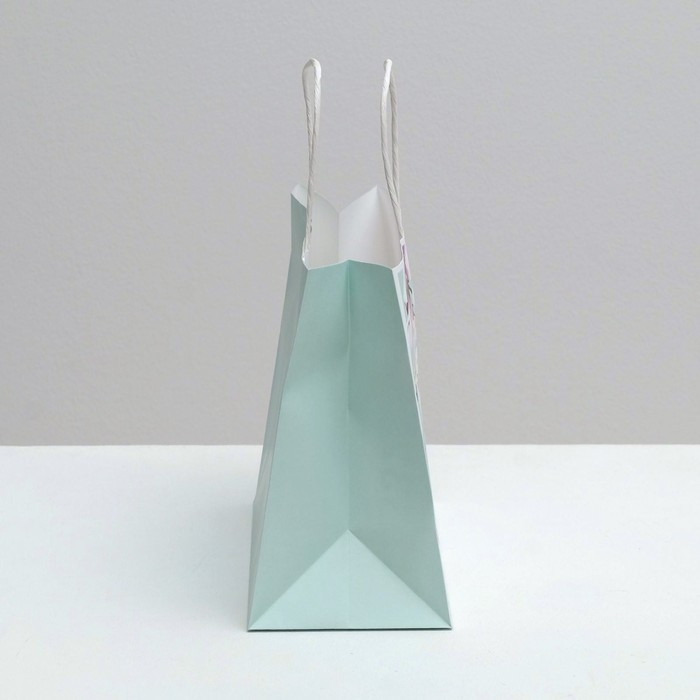 Пакет подарочный крафтовый, упаковка, «Present», 25 х 22 х 12 см Пакет подарочный крафтовый, упаковка, «Present», 25 х 22 х 12 см