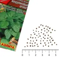 Семена Мелисса лекарственная &laquo;Мандариновый аромат&raquo;, 5 шт., &laquo;Аэлита&raquo;
