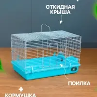 Клетка для грызунов &laquo;Пижон&raquo;, 47&times;30&times;30 см, голубая