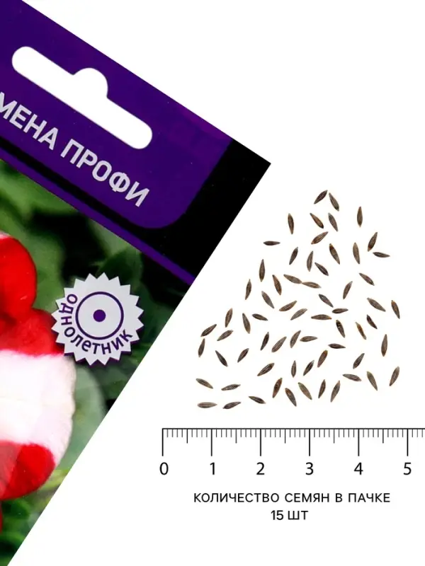 Семена цветов Петуния крупноцветковая &laquo;Танго&raquo; красная с белой звездой, 15 шт.