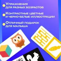 Развивающий набор &laquo;Мои первые картинки&raquo;, 80 карточек, 0+