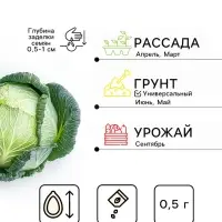 Семена Капуста белокочанная &laquo;Слава 1305 Лидер&raquo;, среднеспелая, 0.5 г, &laquo;Аэлита&raquo;