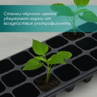 Кассета для выращивания рассады Greengo на 21 ячейку, по 250 мл, из пластика, 54 × 28 × 10 см