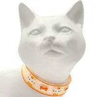 Набор ошейников для кошек &laquo;Котя&raquo;, 30&times;1 см, оранжевый, синий