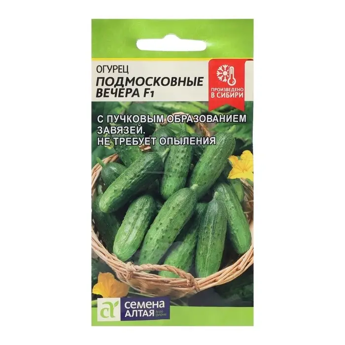 Семена Огурец Семена Огурец "Подмосковные Вечера" F1, раннеспелый, партенокарпический, 5 шт