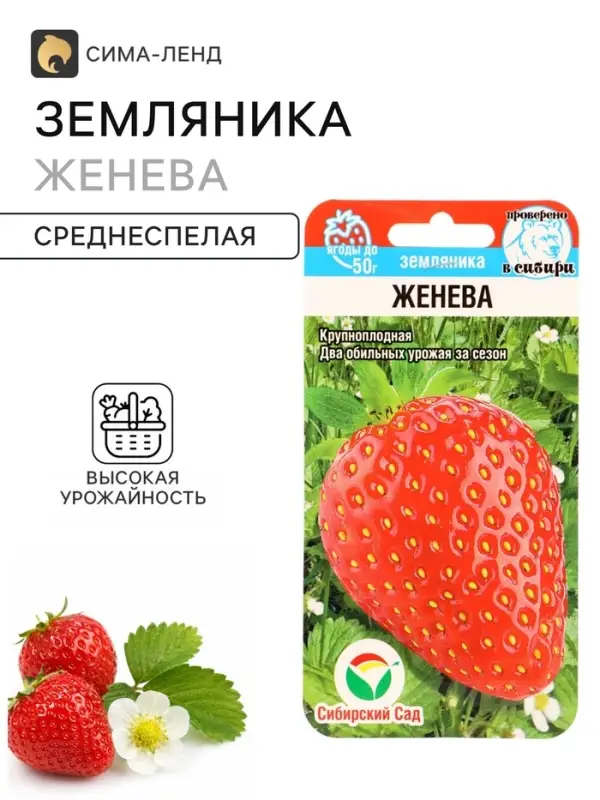 Семена Земляника &laquo;Женева&raquo;, 10 шт., крупноплодная, &laquo;Сибирский сад&raquo;