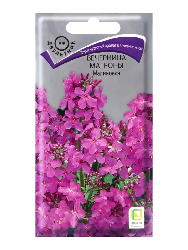 Семена цветов Вечерница Матроны Малиновая, 0,3гр Семена цветов Вечерница Матроны Малиновая, 0,3гр