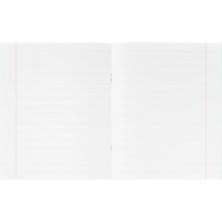 Тетрадь в зеленом офсете 12 л., частая косая линия, штука,100% белизна