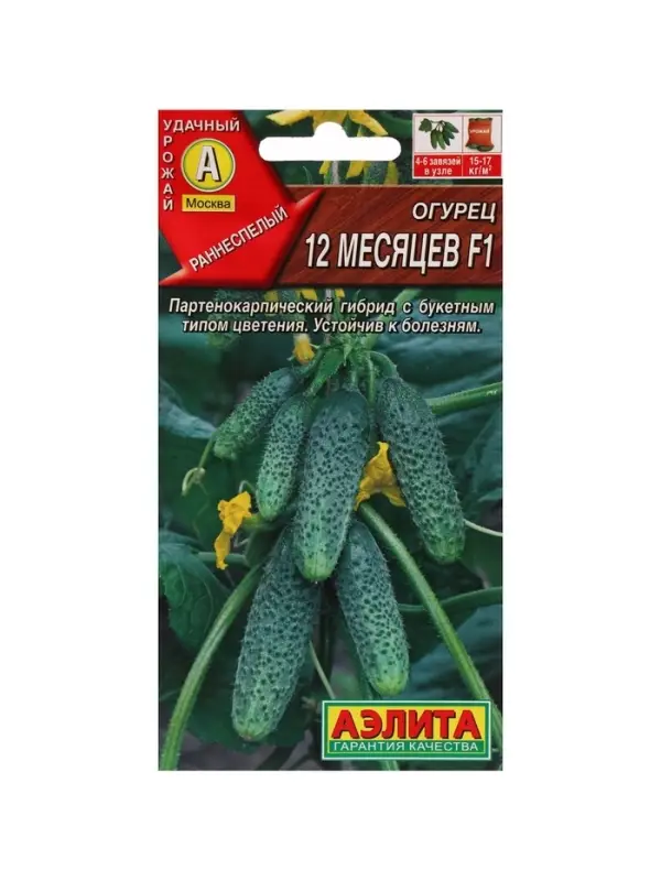 Семена огурца  Семена огурца "12 месяцев", F1, 10 шт.