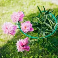 Кустодержатель для цветов, d=40 см, h=80 см, ножка d=1 см, металл, зелёный