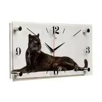 Часы настенные, интерьерные &laquo;Пантера&raquo;, бесшумные, 20&times;40 см, белые