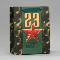 Пакет подарочный ламинированный, упаковка, &laquo;С 23 февраля&raquo;, MS 18&times;23&times;10 см