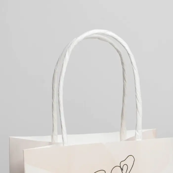 Пакет подарочный крафтовый, упаковка, «8 марта», 12 х 21 х 9 см Пакет подарочный крафтовый, упаковка, «8 марта», 12 х 21 х 9 см