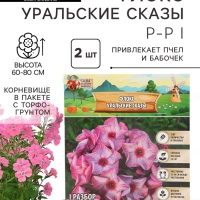 Флокс «Уральские сказы» корневище в пакете с торфогрунтом, р-р I, 2 шт.