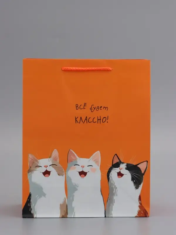 Пакет подарочный, ламинированный, "Все будет классно" , 26 х 12 х 32 см